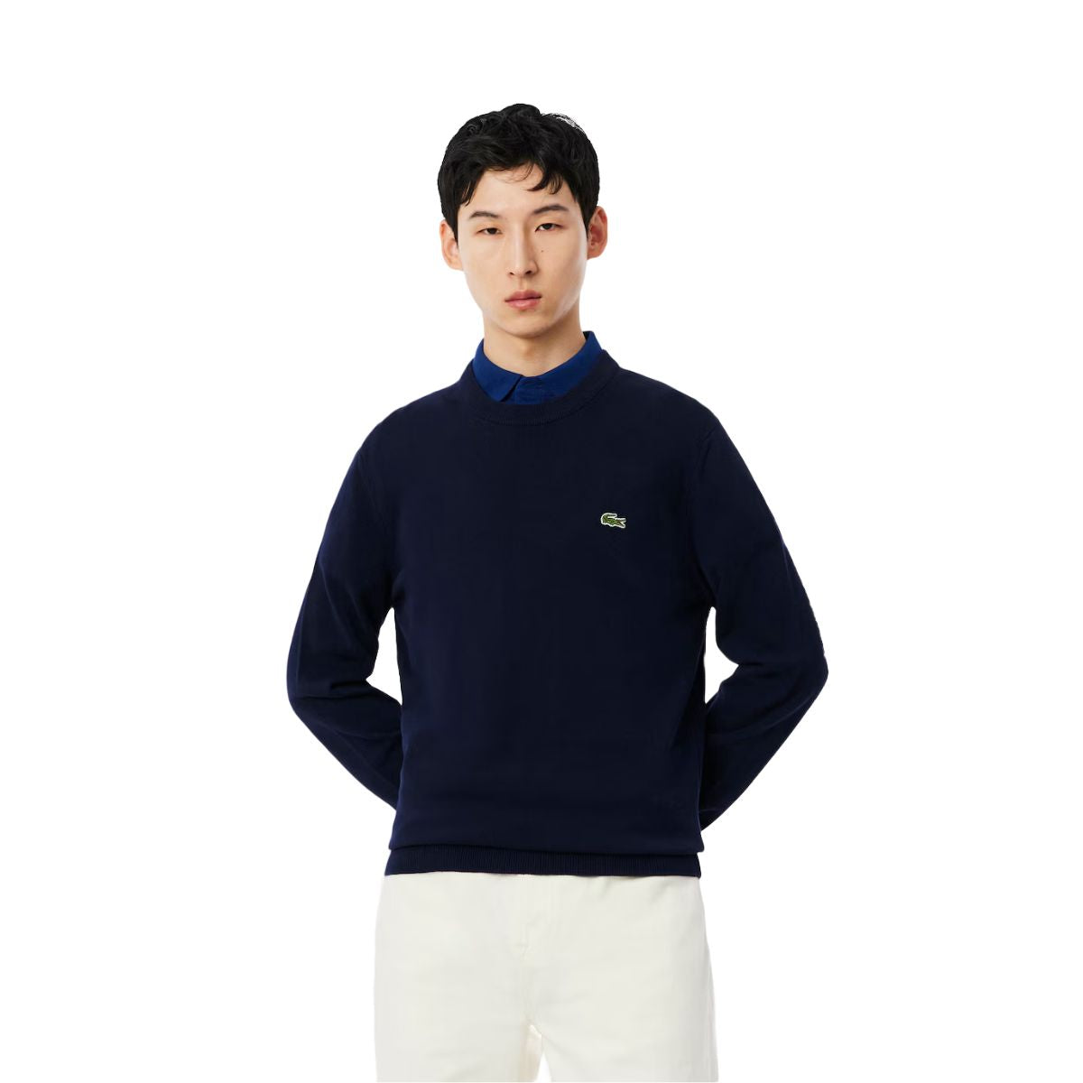 Lacoste pullover uomo AH1985-00 in cotone organico - immagine prodotto 5