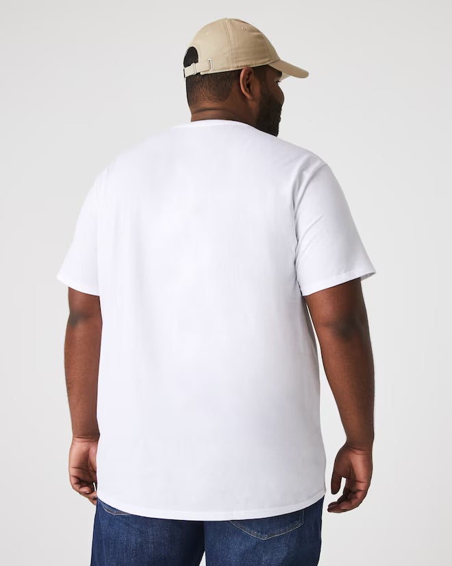 LACOSTE T-shirt in cotone Pima