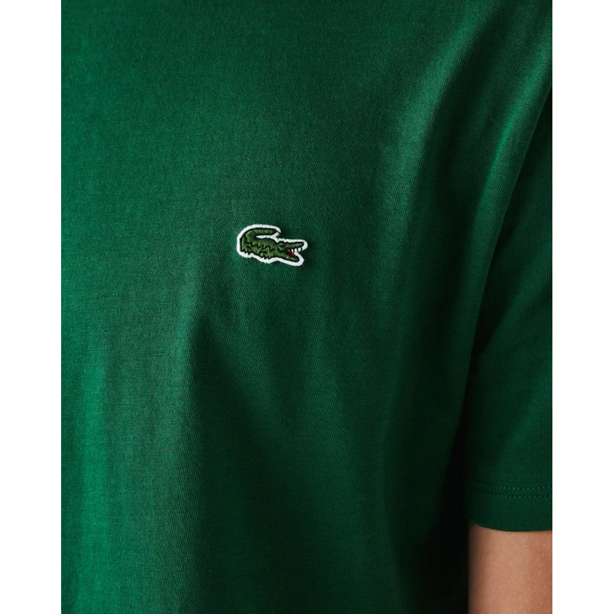 LACOSTE T-shirt in cotone Pima