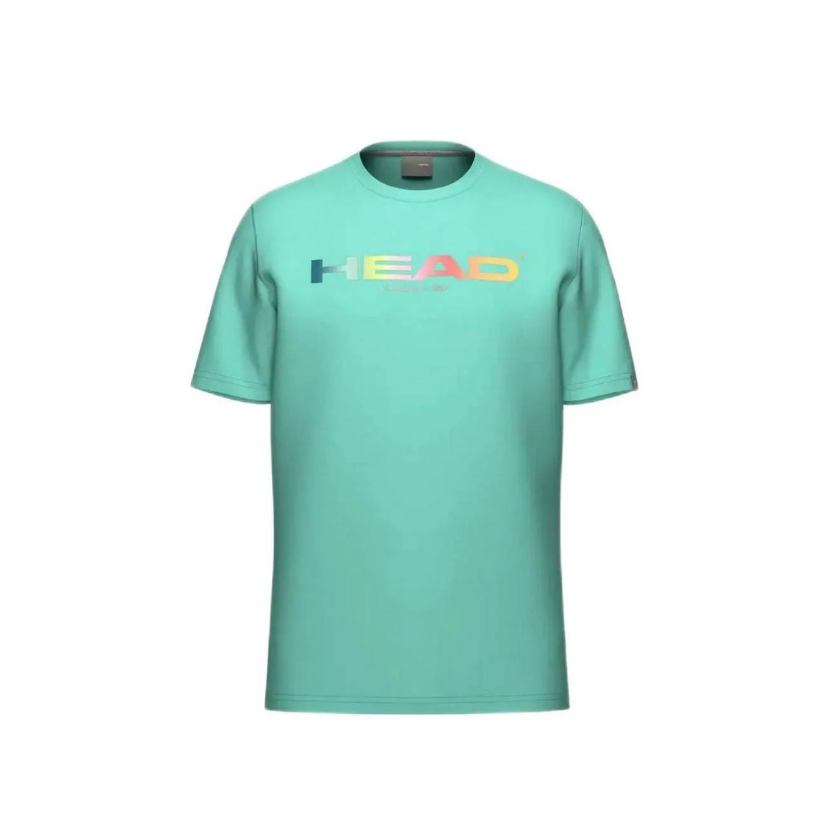 Head T-shirt Uomo Rainbow