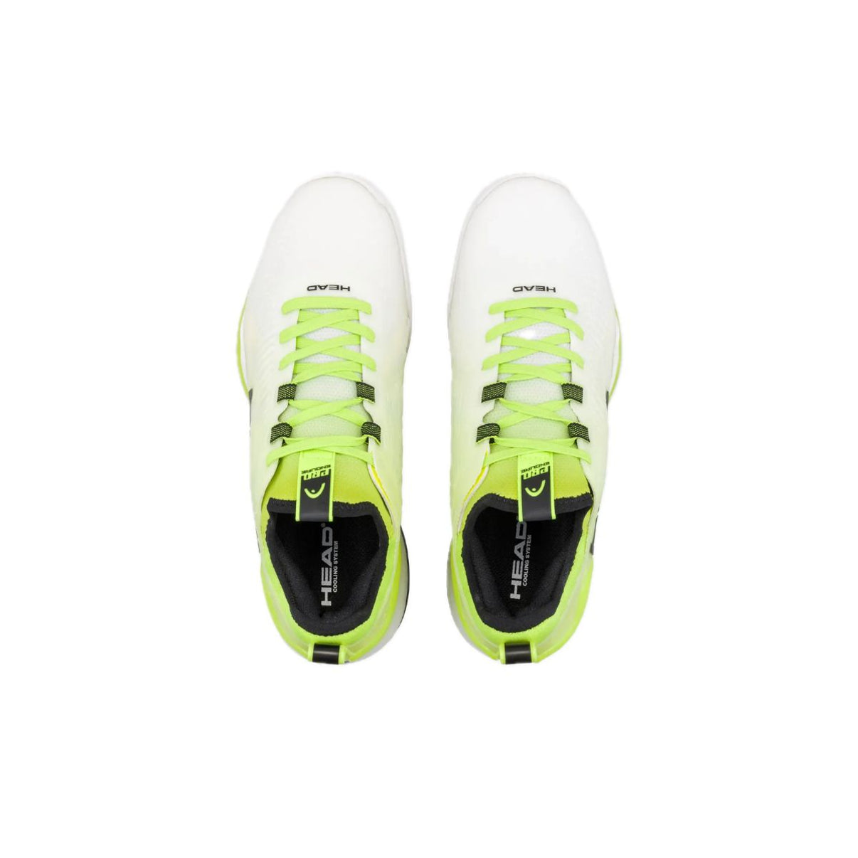 Head Scarpe tennis Uomo Endure Pro Clay