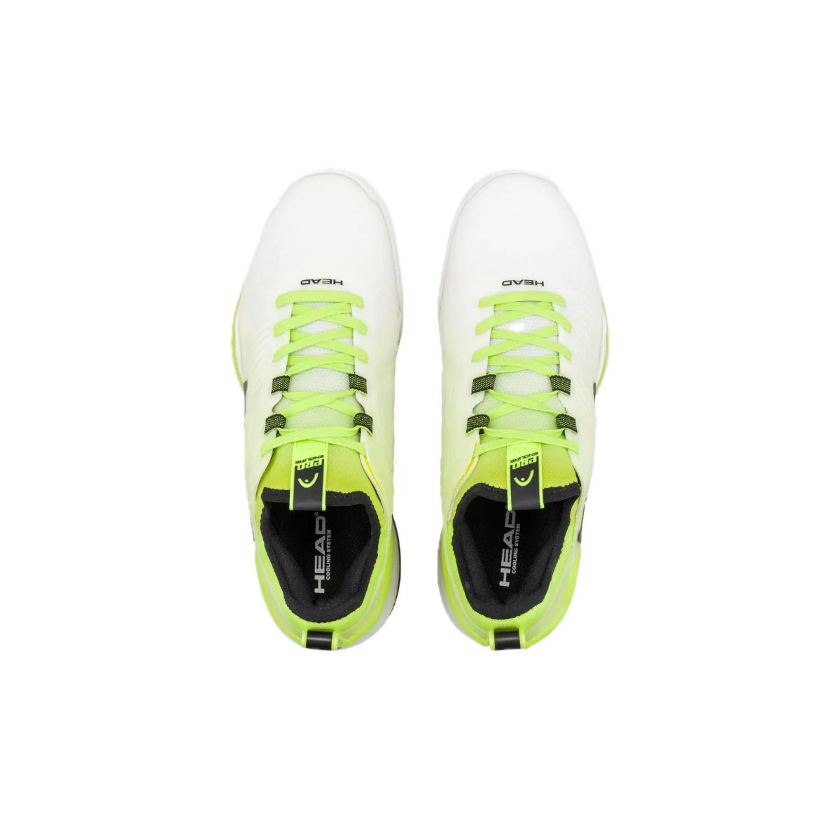 Head Scarpe tennis Uomo Endure Pro Clay
